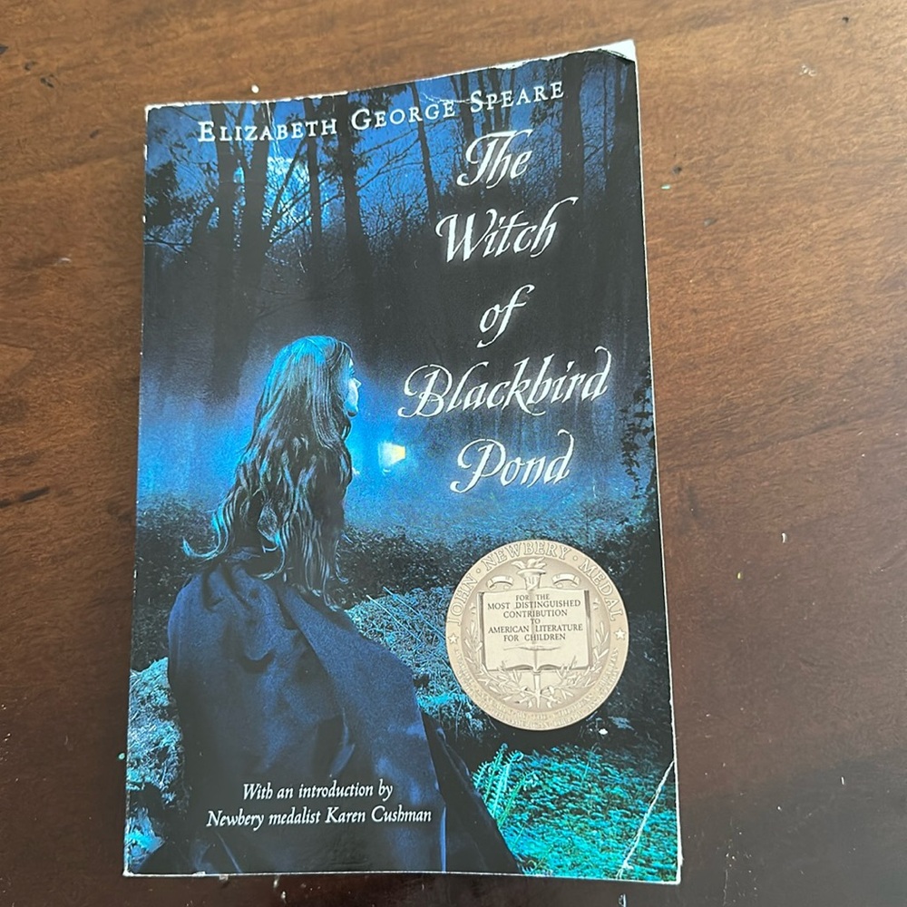 The Witch of  Blackbird Pond paperback